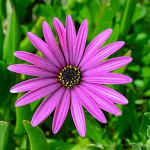 Meet your Posher, Jil